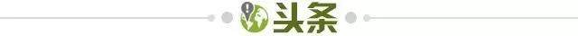 【早报】英超争五集团集体刹车